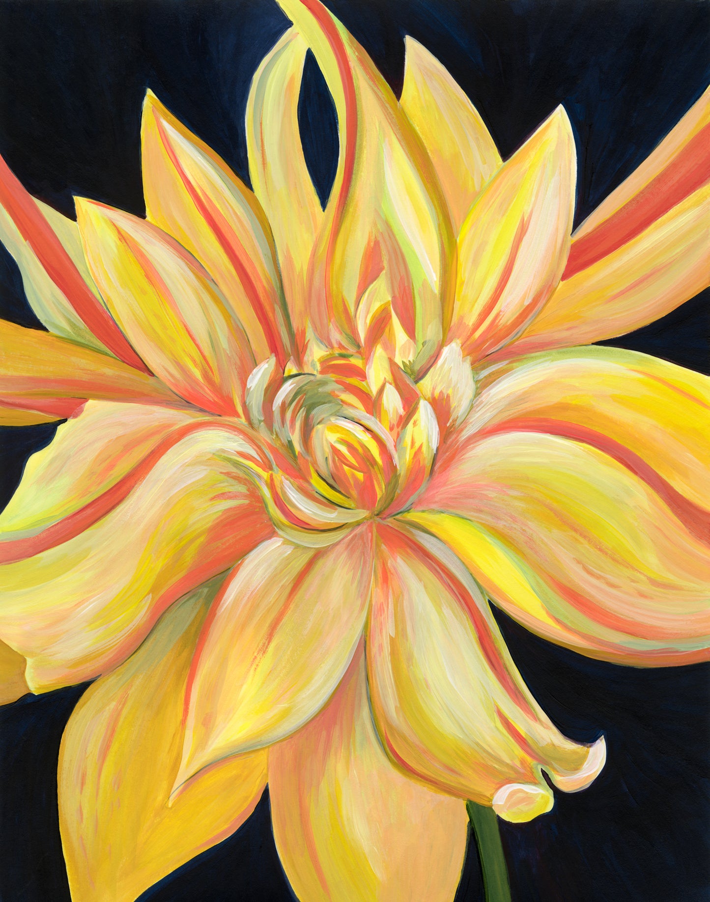 SUNDAZE 5X7 300DPI 12_9_23.jpg