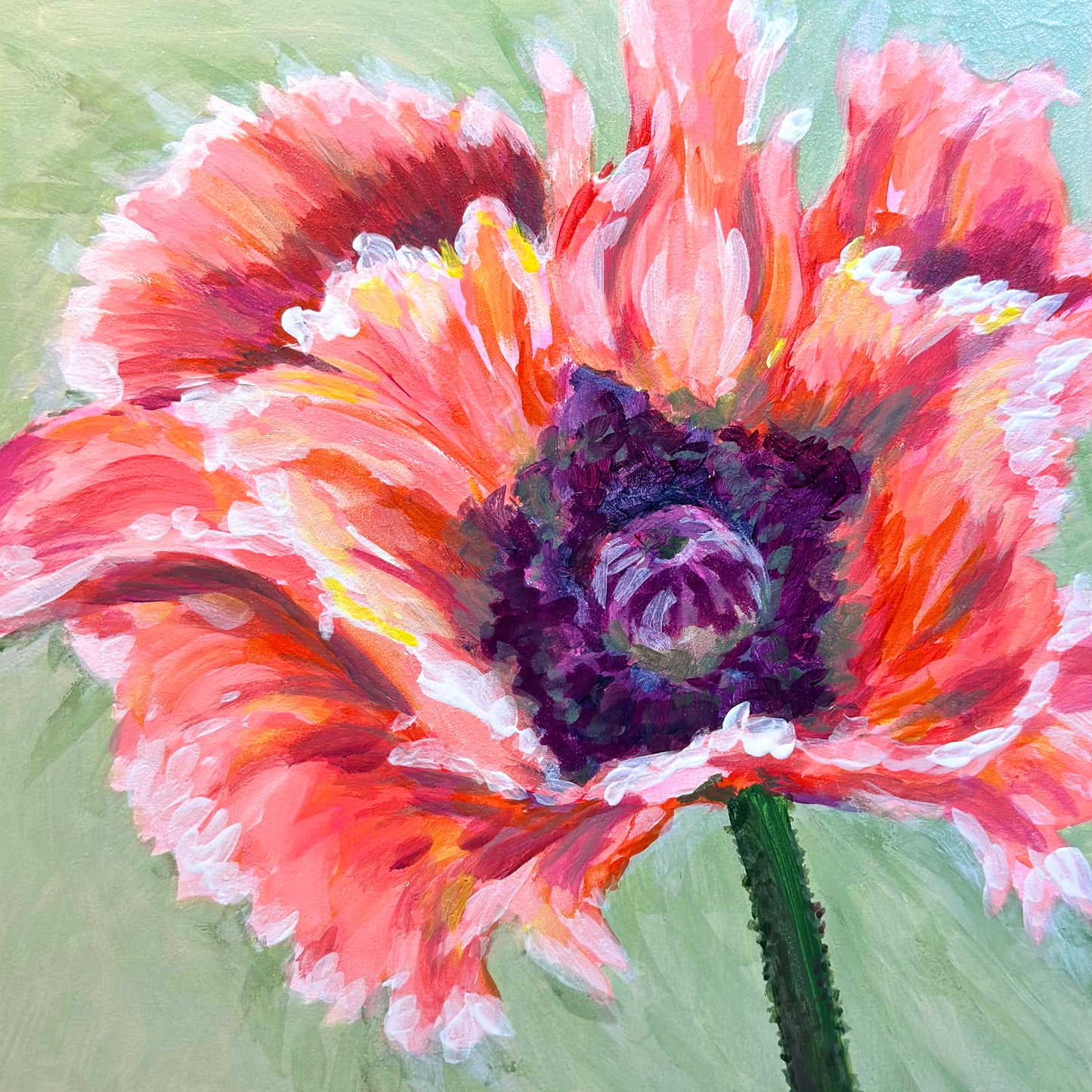 acrylic_poppy_6x6.jpeg