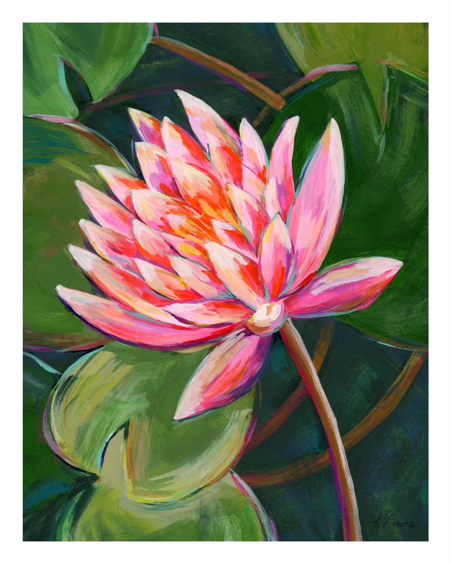 Biltmore pink waterlily Giclee print on archival paper - Several sizes are available