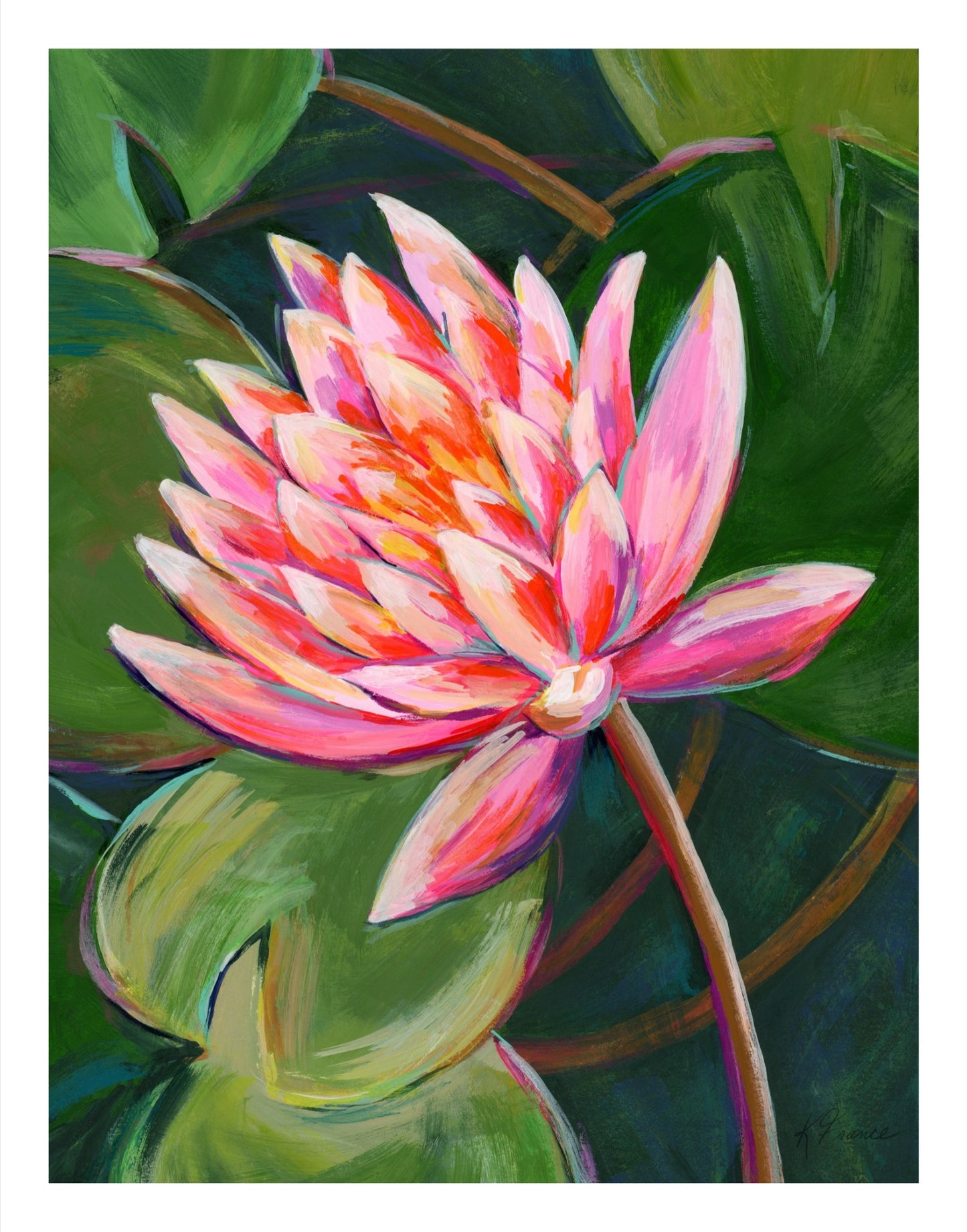 Biltmore pink waterlily Giclee print on archival paper - Several sizes are available