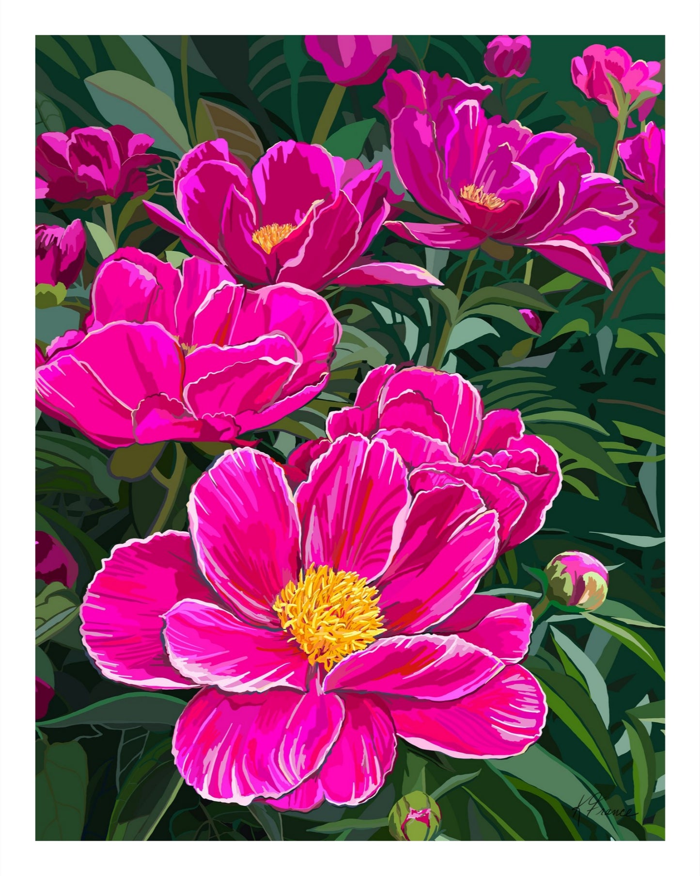 Swenson Peonies Giclee print on archival paper- several sizes available