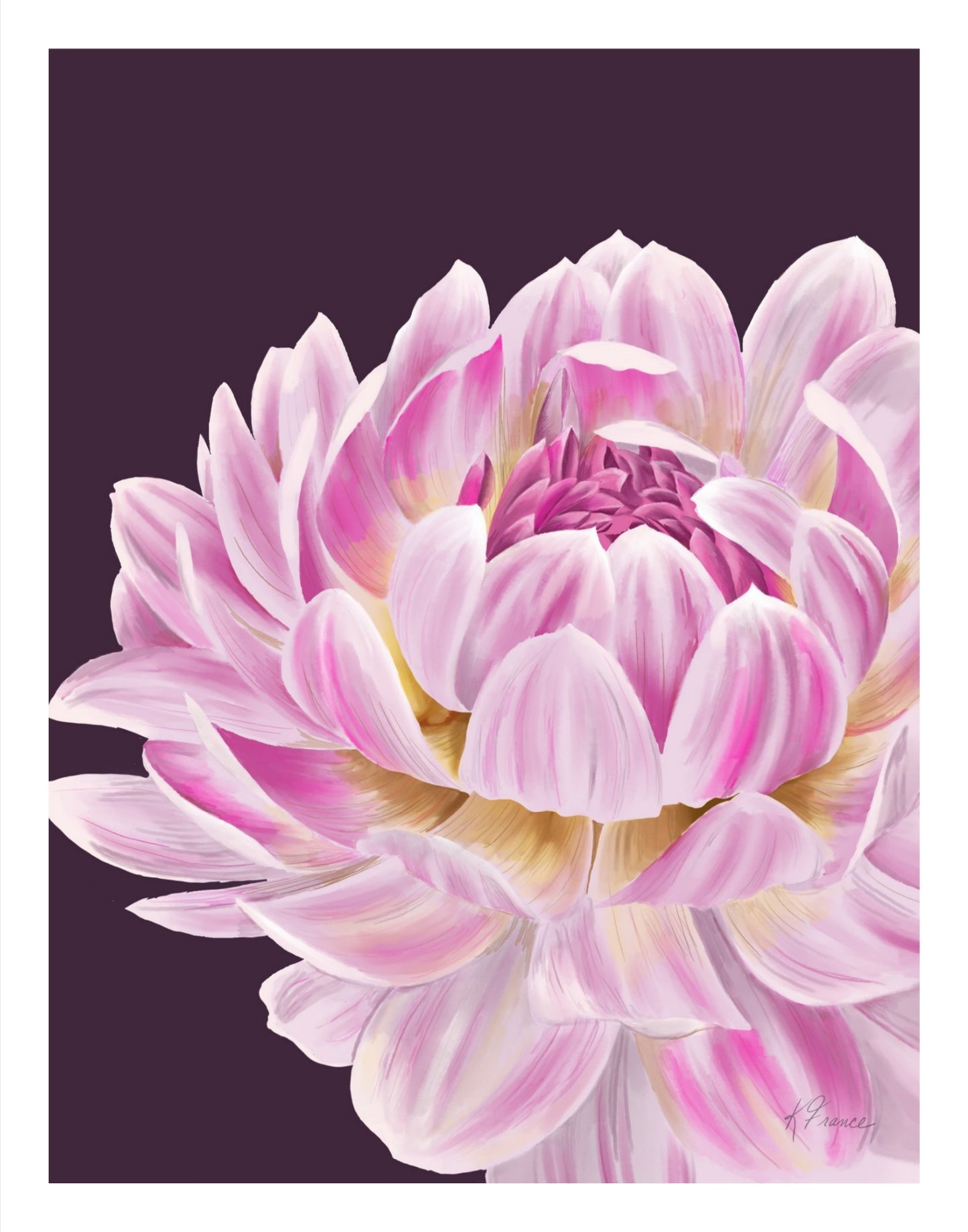 dahlia lily Giclee print on archival paper- several sizes available