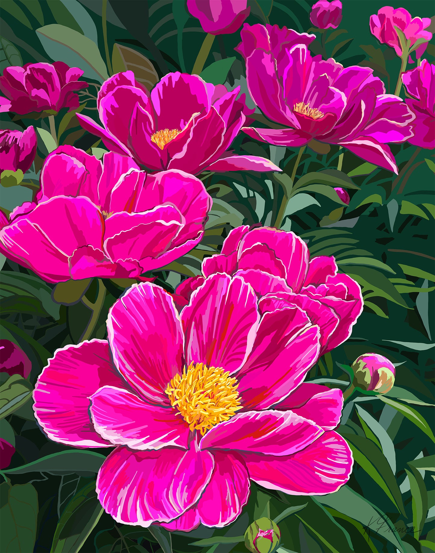 Swenson Peonies Giclee print on archival paper- several sizes available