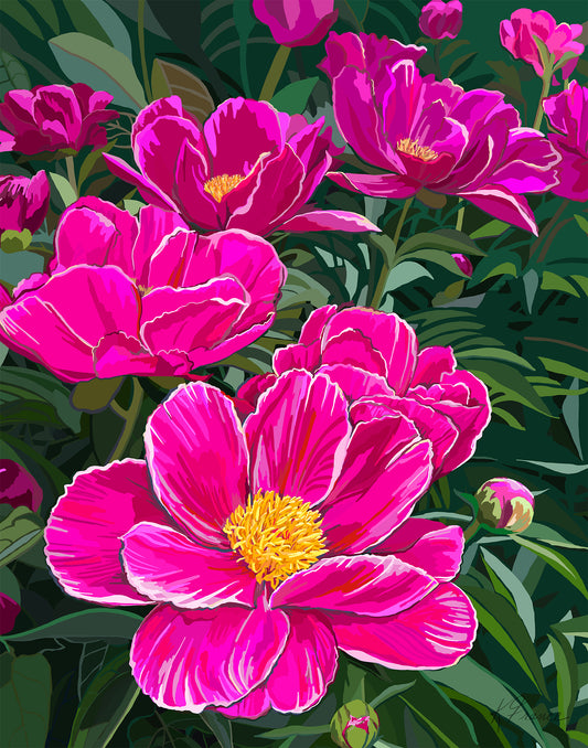 Swenson Peonies Giclee print on archival paper- several sizes available
